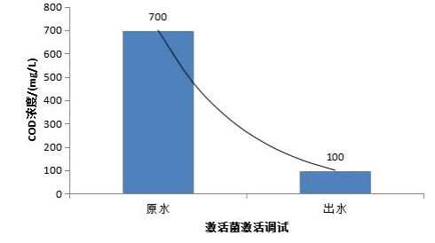 COD生化处理调试案例