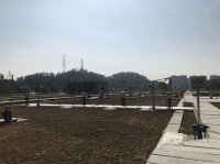 造成废水中COD浓度高的原因有哪些