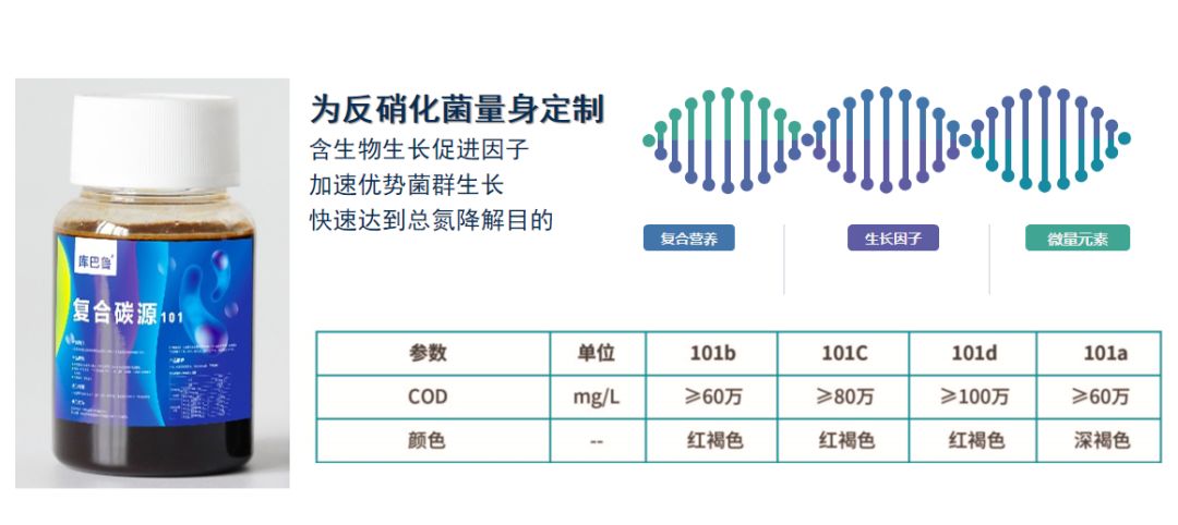 复合面低等人101