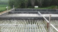 养殖废水COD如何处理