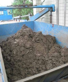 污水污泥中的病原体的病媒的常用处理方法