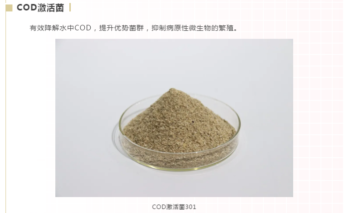 长隆科技库巴鲁COD激活菌