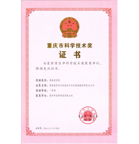 重庆市科学技术奖证书—科技进步一等奖