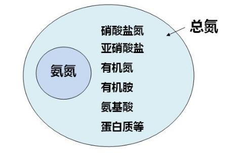 总氮包含哪些氮