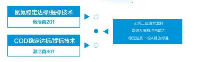 生化提标技术