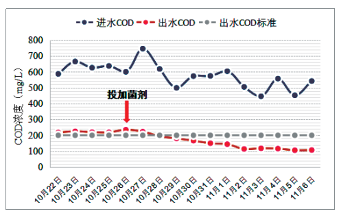印染废水COD超标处理