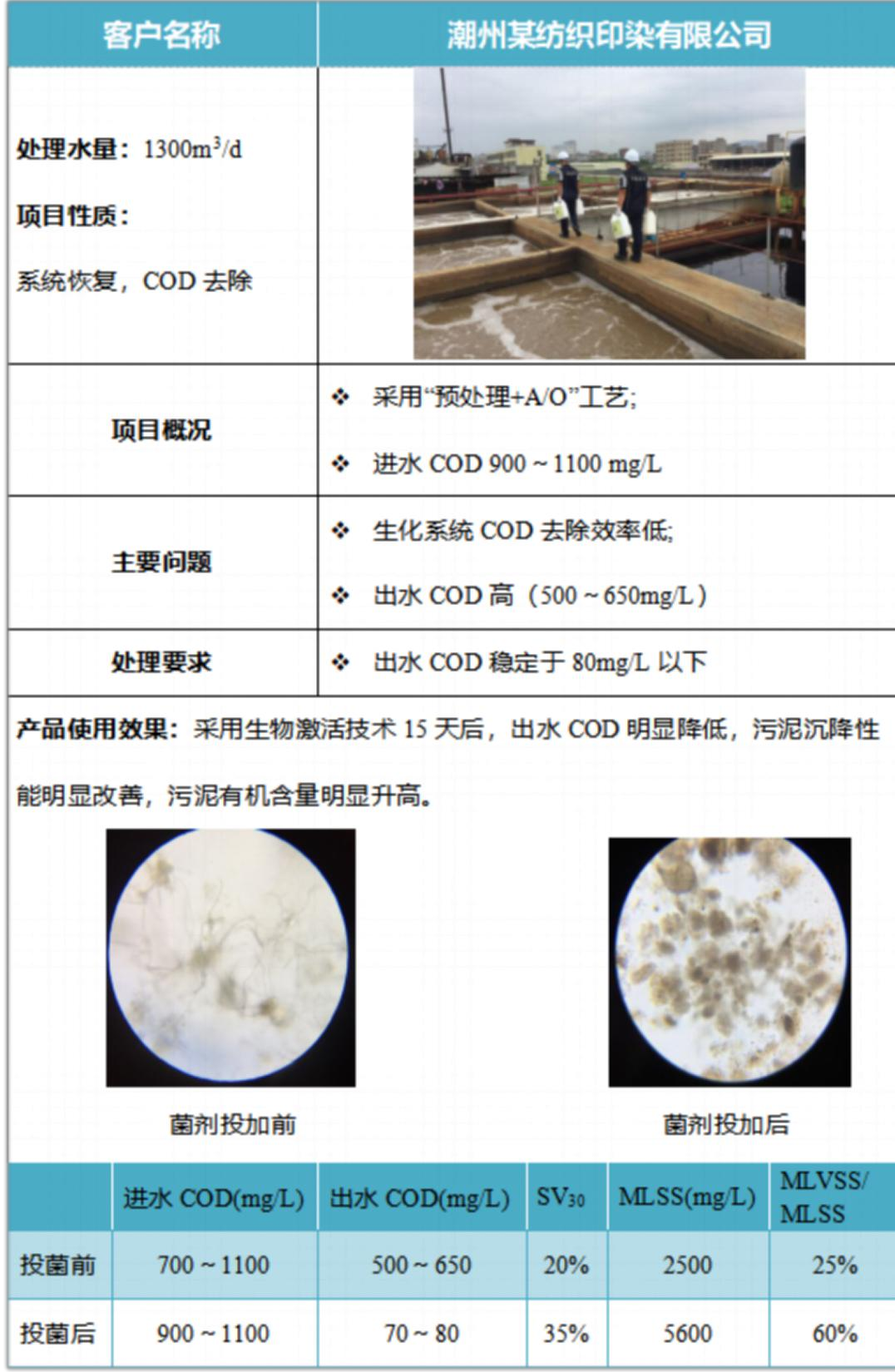 COD高效降解菌