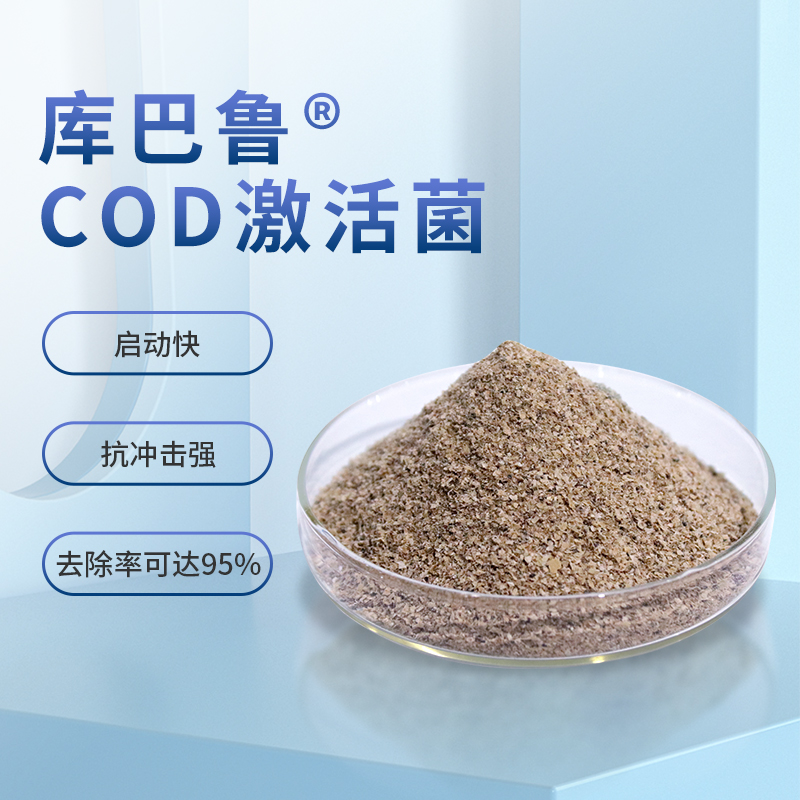 库巴鲁COD激活菌