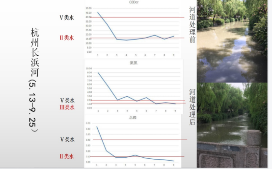 河道治理-杭州长浜河试验点