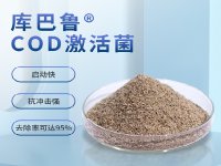 COD超标为什么首选投加微生物菌剂