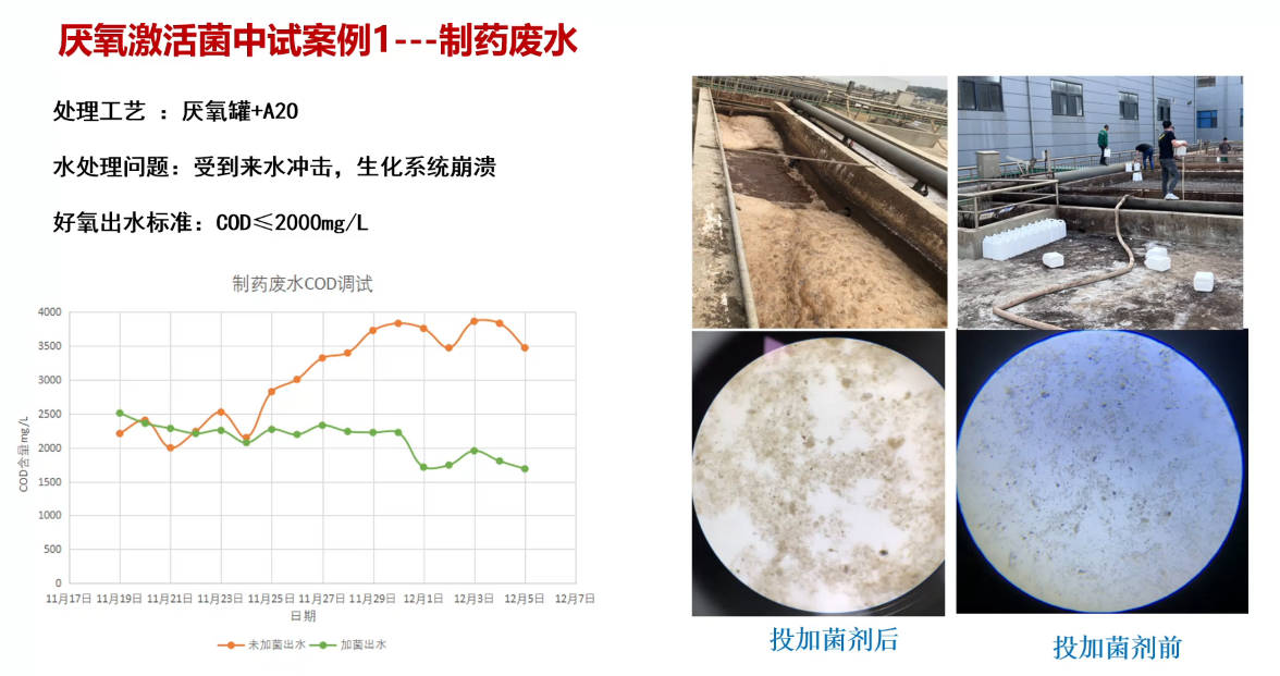 制药废水COD降解案例