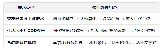 COD废水超标快速治理工艺推荐