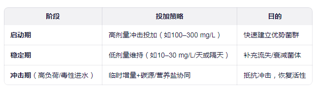COD降解菌的投加量分段投加策略